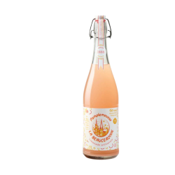 Limonade Pamplemousse : Une Boisson Fraîche et Fruitée au Goût Acidulé